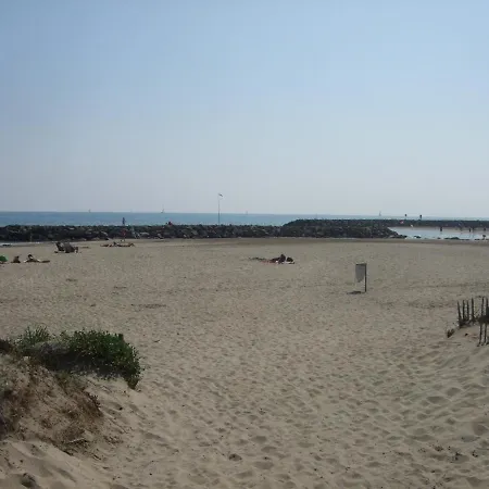 T2 Lumineux Bord De 阿格德